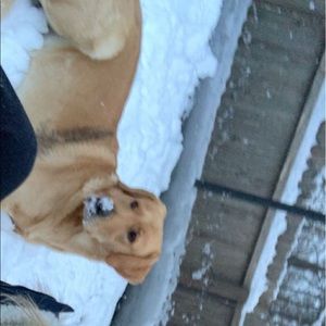 Meet your Posher, Taylor